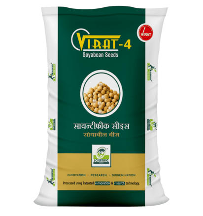Soybean