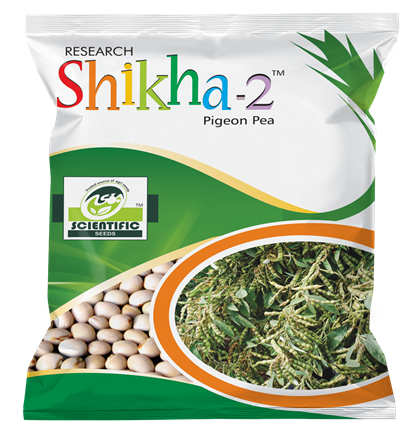 Pigeon Pea ( तूर )