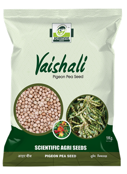 Vaishali Plgeon Pea Seeds - (વૈશાલી તુવેર)