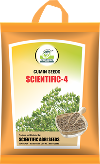 Scientific-4 Cumin Seeds (સાયન્ટીફીક-૪)