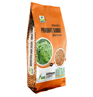 Prabhat Kabuli - Gram Seed - (કાબુલી ચણા)