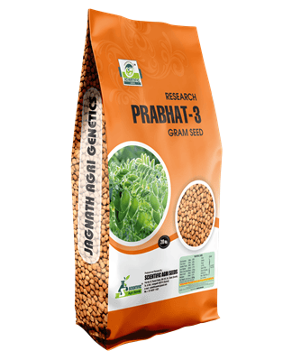 Prabhat-3 Gram Seed (પ્રભાત-૩ ચણા)