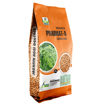 Prabhat-5 Gram Seed (પ્રભાત-૫ ચણા)