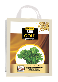 Sun Gold (સનગોલ્ડ - ધાણા)