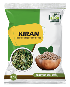 Kiran Pigeon Pea Seeds - (કિરણ તુવેર)